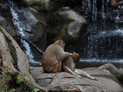 -普洱太阳河森林公园
