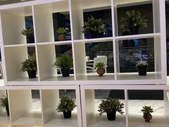 -813芭依珊 BAESAn(汇港购物中心店)