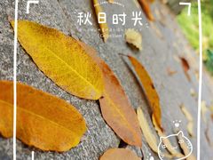 -素描餐厅(灵隐天竺店)