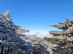 -黄山排云型旅酒店餐厅