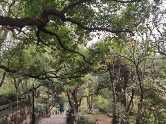 -吴山景区
