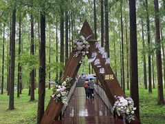 -黄海国家森林公园