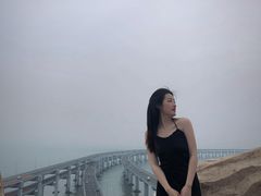 -星海湾跨海大桥