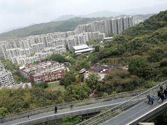 -金鸡山公园