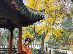 -秋霞圃