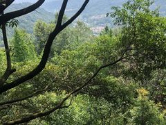 -凤栖山