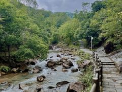 -广州白江湖森林公园