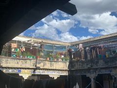 -古树酸奶(八廓南街店)