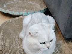 -悠米私人影院(街道口店)