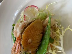 -蝶舍·MAISON PAPILLON