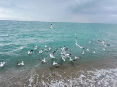 -青海湖二郎剑景区