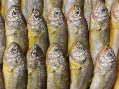 -健眺小海鲜(临海后山店)