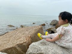 -野狸岛