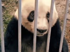 -古南都·老广东酒楼(龙江店)