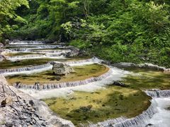 -凤凰山国家森林公园