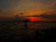 -宝安西湾红树林湿地公园