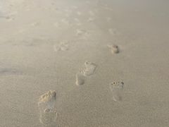 -惠州金海湾嘉华度假酒店