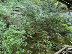 -三千院