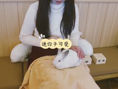 -猫猫幼稚园·撸猫·桌游·电玩