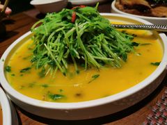 高山岩米菠菜苗-肴约·花园式餐厅(湖里店)