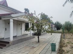 -白洋淀风景区
