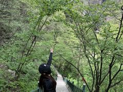 -洛阳白云山景区