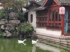 -祝家花園(伯渎港店)
