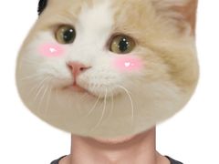 -方快-照相馆(莘庄沁春路店)