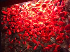 -波塞冬旅游度假区