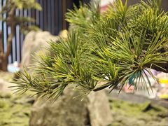 -喜棠·长沙家宴·海鲜·湘菜(麓谷店)