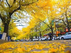 -辽东学院(南校区)