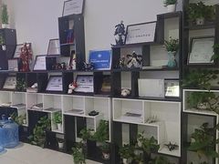 -CGWANG王氏教育(重庆校区)