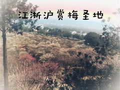 -香雪海