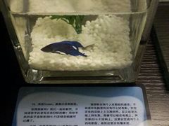 android_upload_pic-桔子酒店(天津五大道店)