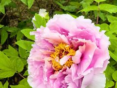 -太阳宫公园
