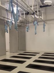 -那·瑜伽&孕产·普拉提·塑身减脂