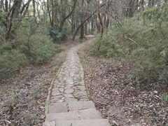-苏州上方山国家森林公园