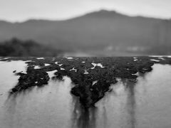 -龙江公园