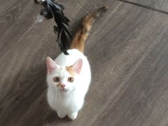 -美联众合24小时·皮肤科·外科·全科诊疗中心(华苑分院)
