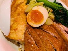 金奖卤鹅肉饭-陈鹏鹏潮汕菜(宝安机场T3航站楼店)