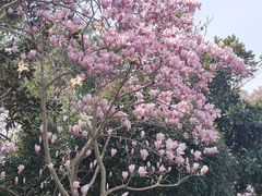 -西山漾湿地公园