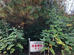 -雨花胜境