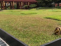 -南越王博物院(王宫展区)