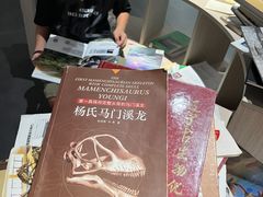 -自贡恐龙博物馆