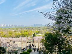 -苏州上方山国家森林公园