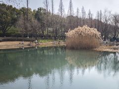 -南北湖风景区