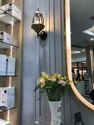 -黛蓝形象定制