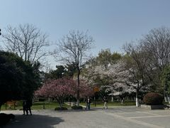 -明故宫遗址公园