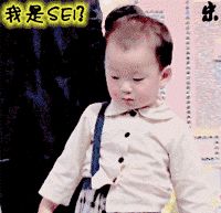 -思密达
