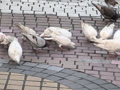 -优托邦(长兴路店)